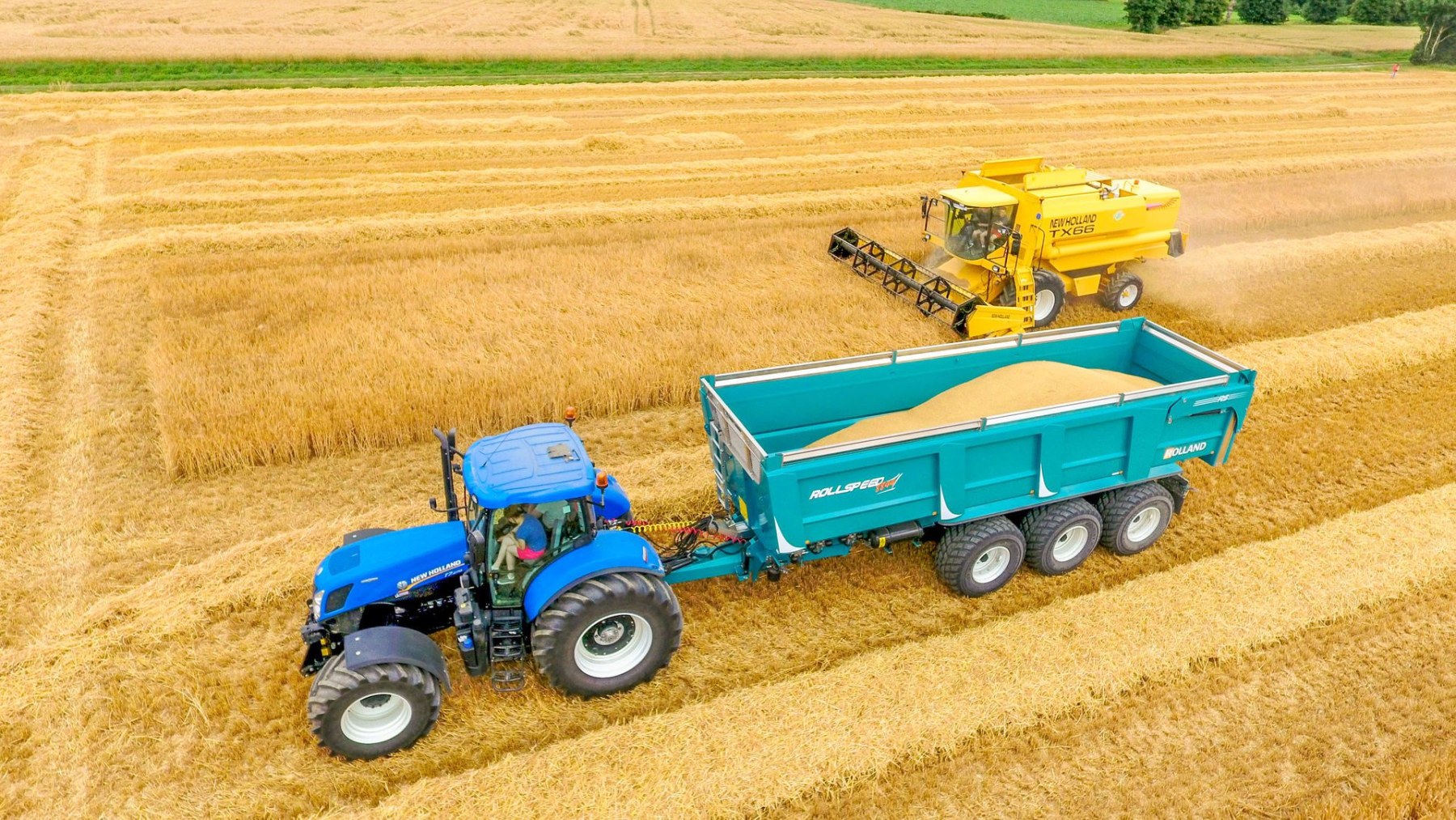 benne-rollspeed-8844-full-l_plan02