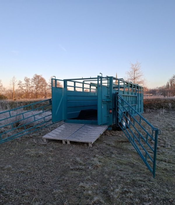 betaillere-b81-full-l_out02